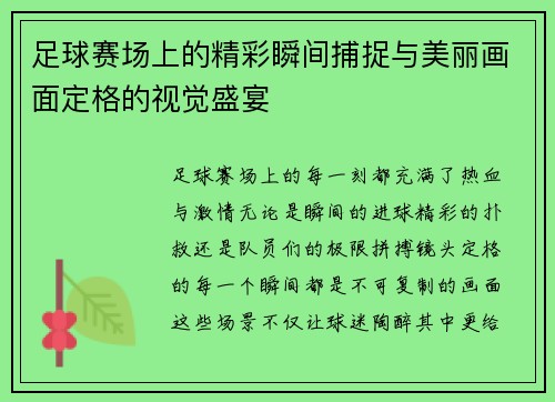 足球赛场上的精彩瞬间捕捉与美丽画面定格的视觉盛宴
