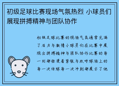 初级足球比赛现场气氛热烈 小球员们展现拼搏精神与团队协作