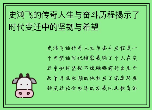 史鸿飞的传奇人生与奋斗历程揭示了时代变迁中的坚韧与希望
