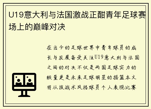 U19意大利与法国激战正酣青年足球赛场上的巅峰对决