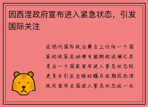 因西涅政府宣布进入紧急状态，引发国际关注