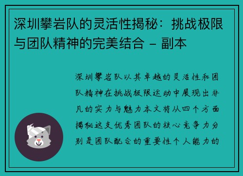 深圳攀岩队的灵活性揭秘：挑战极限与团队精神的完美结合 - 副本